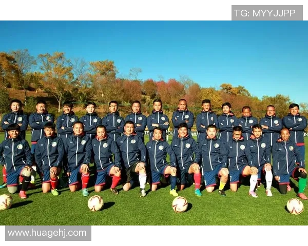 足球500：探索全球足球文化与赛事盛况的深度解析与展望